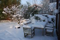 Garten im Schnee-137