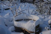 Garten im Schnee-138
